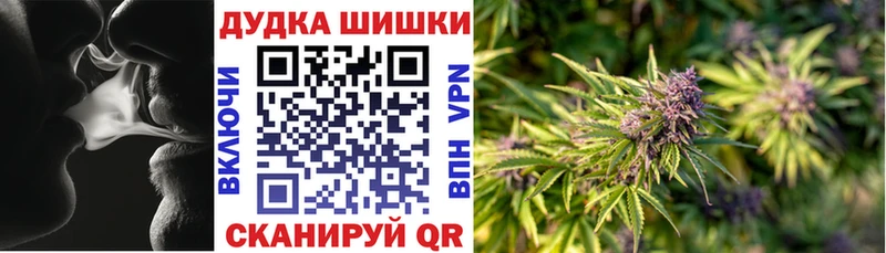 Конопля план  где купить наркоту  Краснодар 